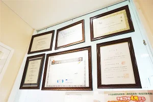 元住吉の歯医者、よしだ・ファミリー・歯科で歯がない期間を短くできる即時義歯とは？メリットとデメリットを解説