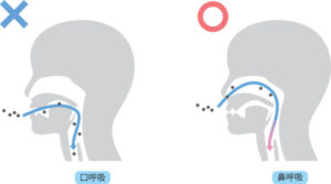 元住吉の歯医者、よしだ・ファミリー・歯科で口呼吸になる原因や改善方法について解説